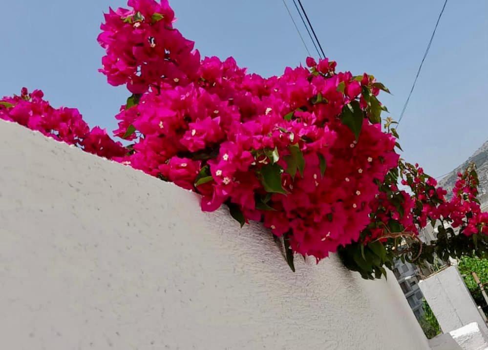 Ona Apartament Σαράντα Εξωτερικό φωτογραφία